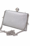 Long Chain Fancy Clutch