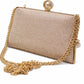 Long Chain Fancy Clutch