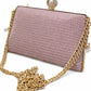Long Chain Fancy Clutch