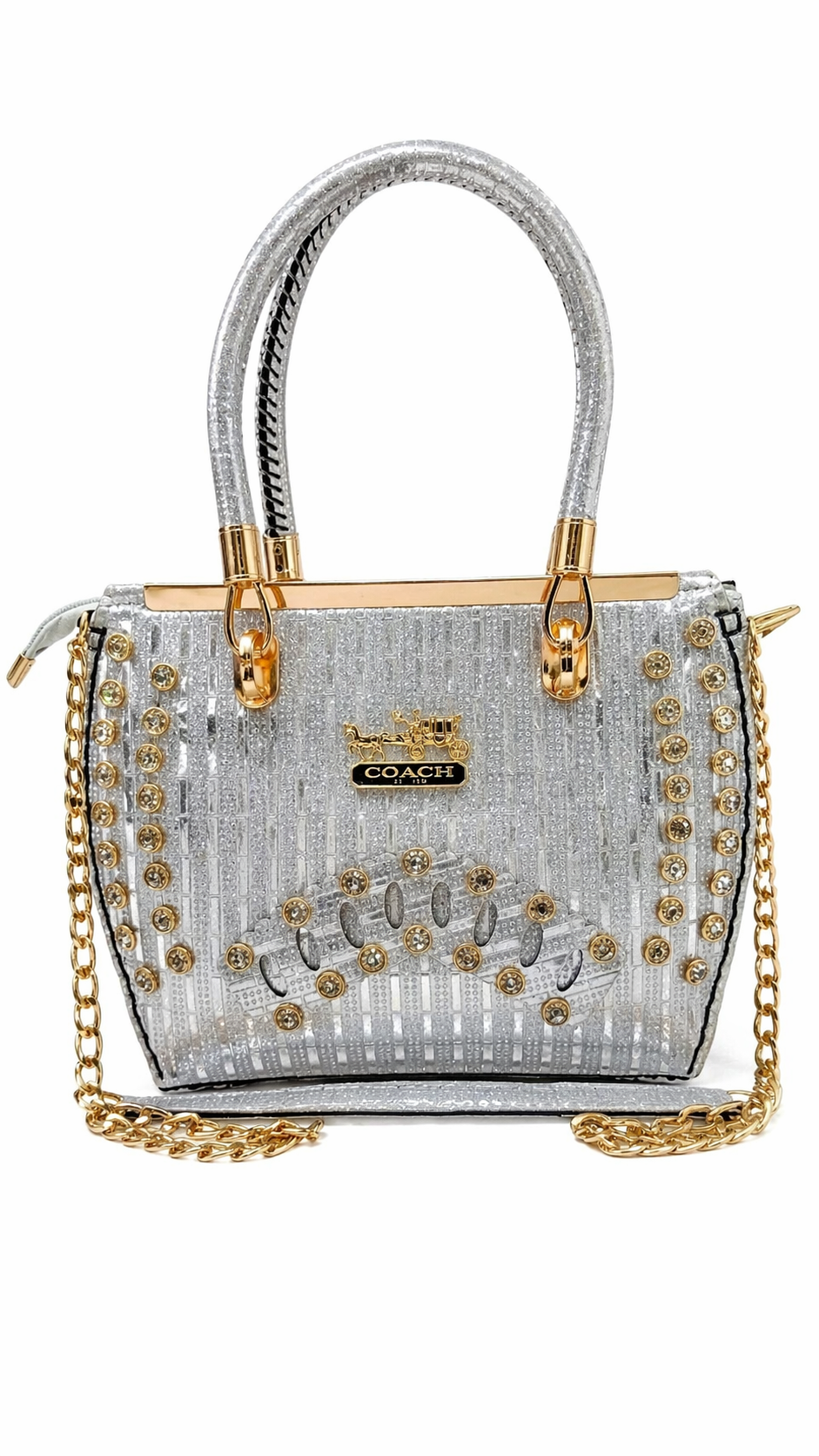 Shinny Fancy Bag