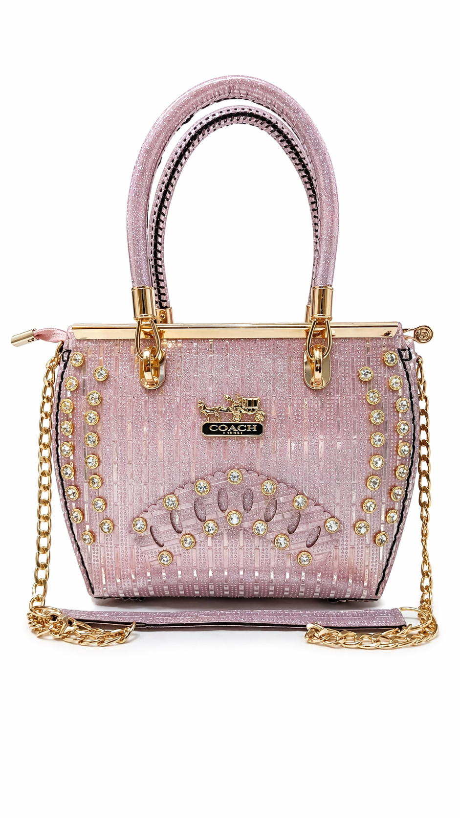 Shinny Fancy Bag