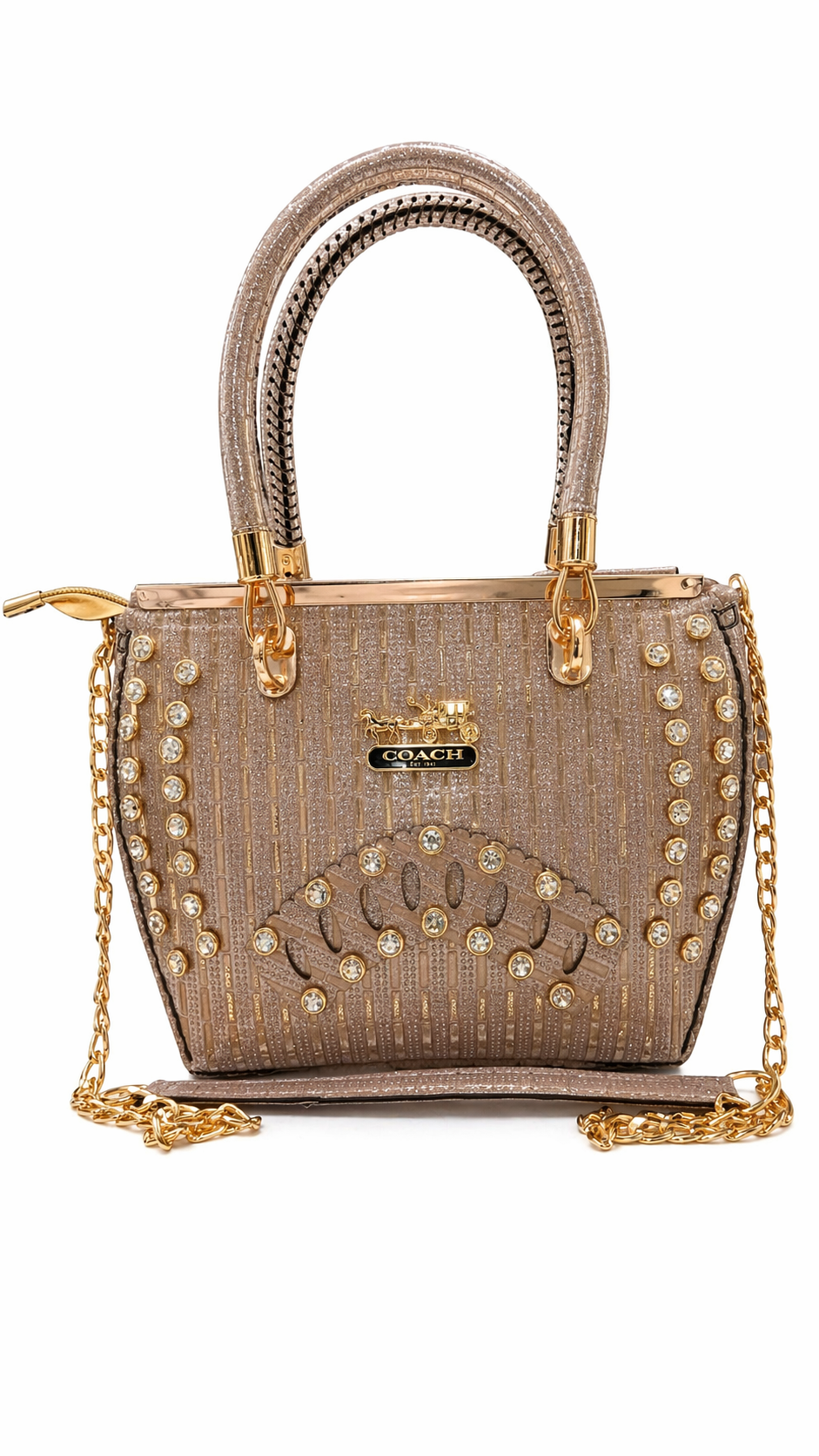Shinny Fancy Bag